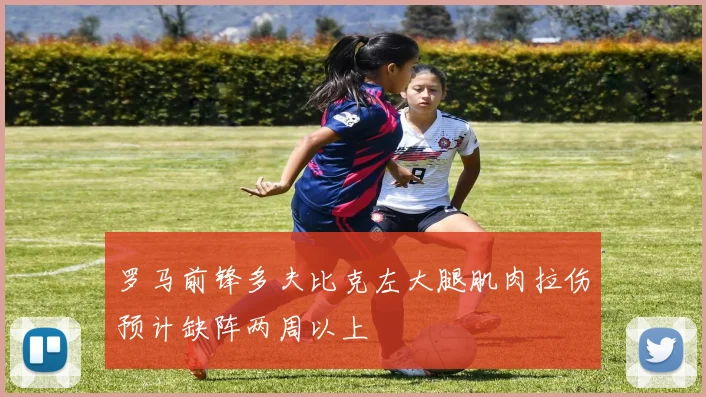 罗马前锋多夫比克左大腿肌肉拉伤预计缺阵两周以上
