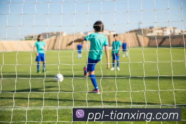 互动解说服务